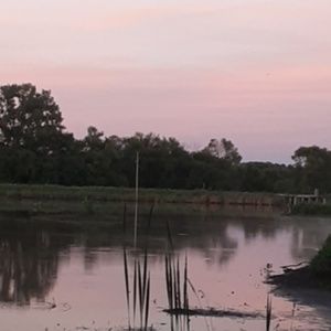 Meet your Posher, Morgan